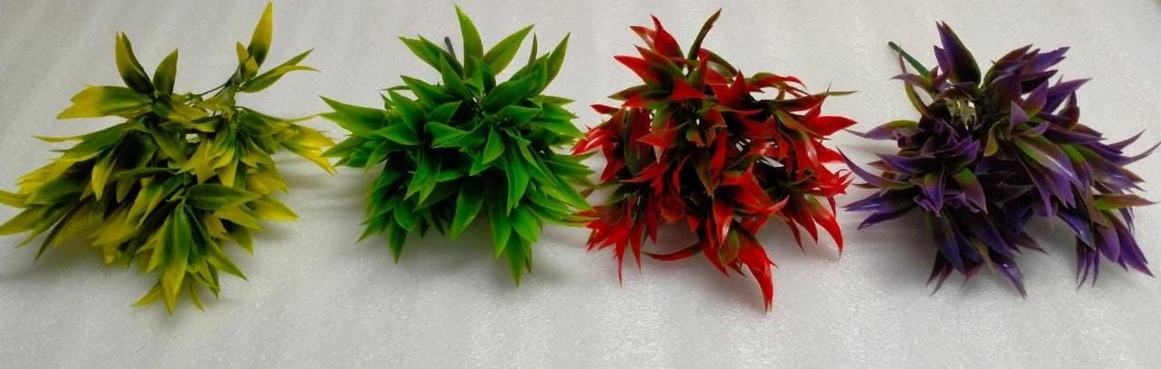 Cactus Leaves Bunch x5